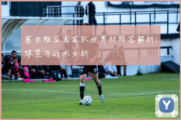 塞尔维亚国家队世界杯阵容解析：球星与战术分析